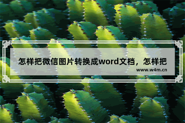 怎样把微信图片转换成word文档，怎样把微信图片转换成word文档免费