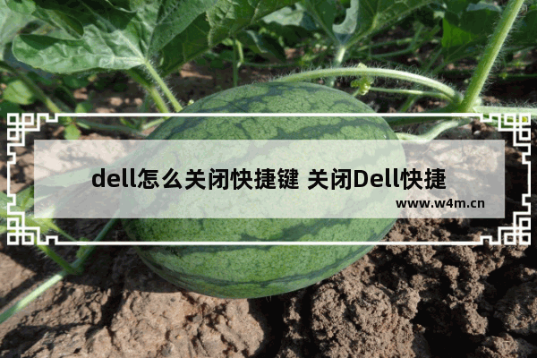 dell怎么关闭快捷键 关闭Dell快捷键的方法