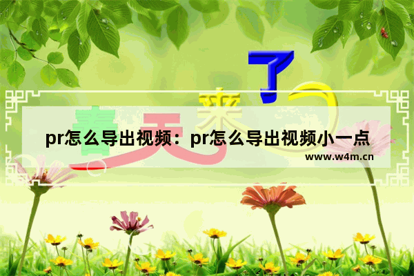 pr怎么导出视频：pr怎么导出视频小一点