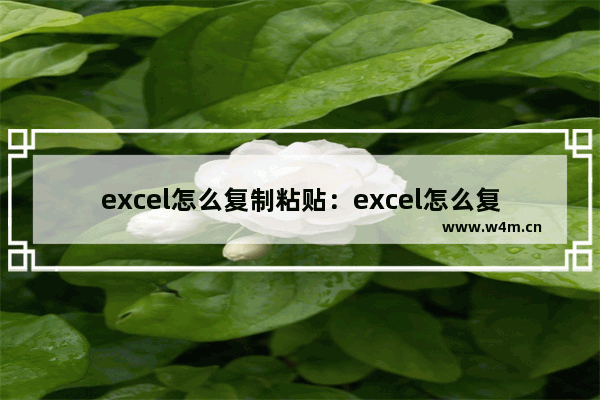 excel怎么复制粘贴：excel怎么复制粘贴表格到微信