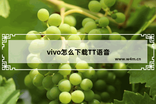 vivo怎么下载TT语音