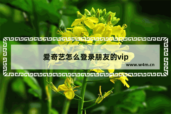 爱奇艺怎么登录朋友的vip