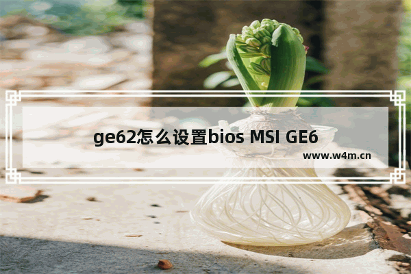 ge62怎么设置bios MSI GE62 BIOS设置技巧