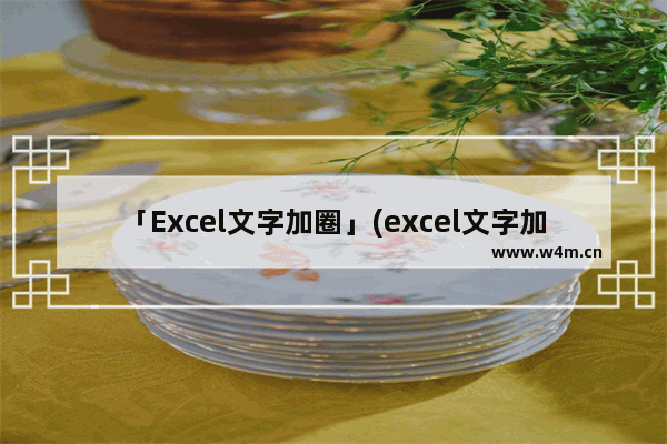 「Excel文字加圈」(excel文字加圈字符)