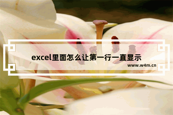 excel里面怎么让第一行一直显示