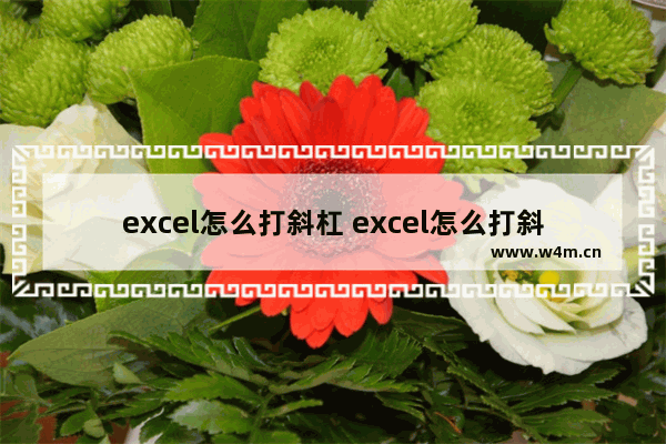 excel怎么打斜杠 excel怎么打斜杠分隔