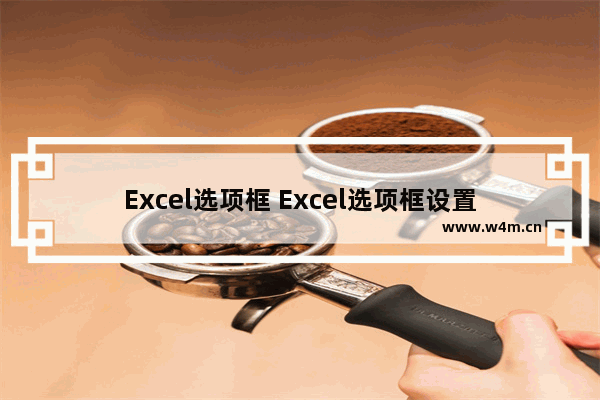 Excel选项框 Excel选项框设置