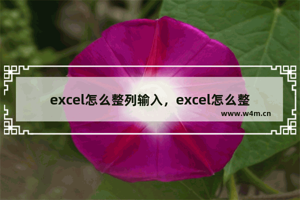 excel怎么整列输入，excel怎么整列输入相同日期