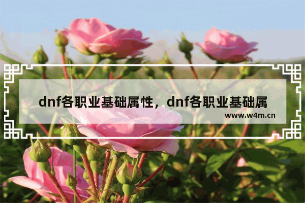 dnf各职业基础属性，dnf各职业基础属性colg