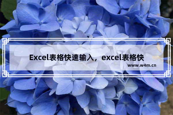 Excel表格快速输入，excel表格快速输入日期选择