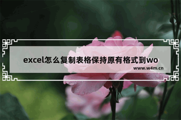 excel怎么复制表格保持原有格式到word