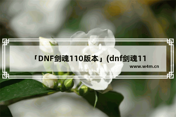 「DNF剑魂110版本」(dnf剑魂110版本平民装备)