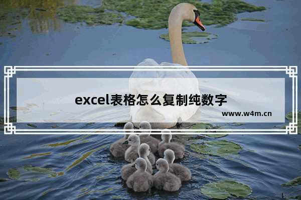 excel表格怎么复制纯数字