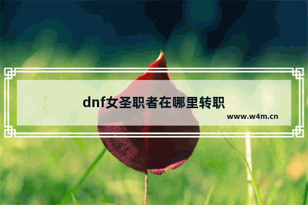 dnf女圣职者在哪里转职