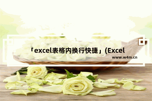 「excel表格内换行快捷」(Excel表格内换行快捷键MacBook)