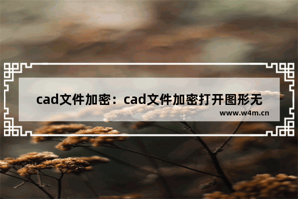 cad文件加密：cad文件加密打开图形无效