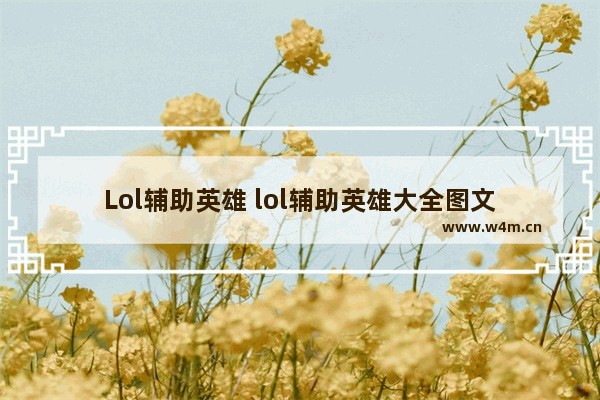 Lol辅助英雄 lol辅助英雄大全图文