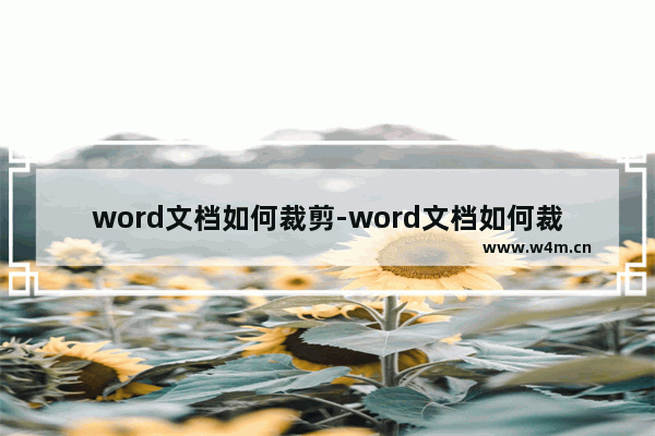 word文档如何裁剪-word文档如何裁剪文字