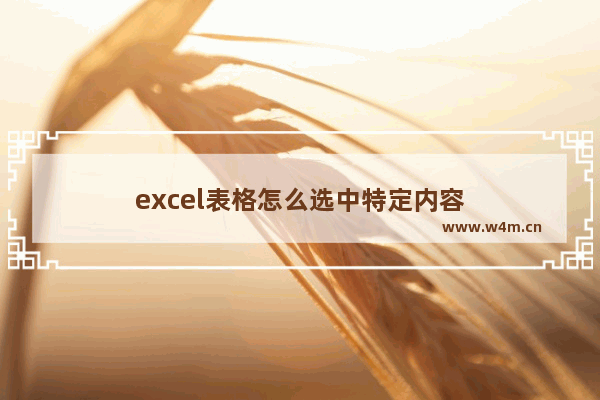 excel表格怎么选中特定内容