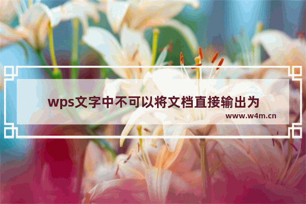 wps文字中不可以将文档直接输出为