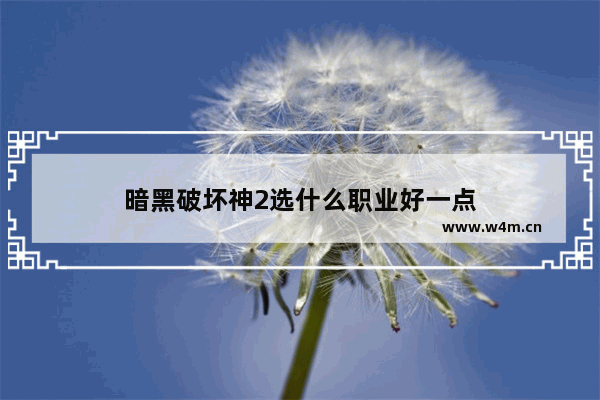 暗黑破坏神2选什么职业好一点