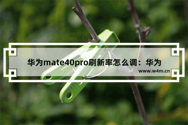 华为mate40pro刷新率怎么调：华为mate40pro刷新率怎么调最好