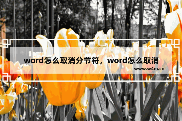 word怎么取消分节符，word怎么取消分节符下一页空白