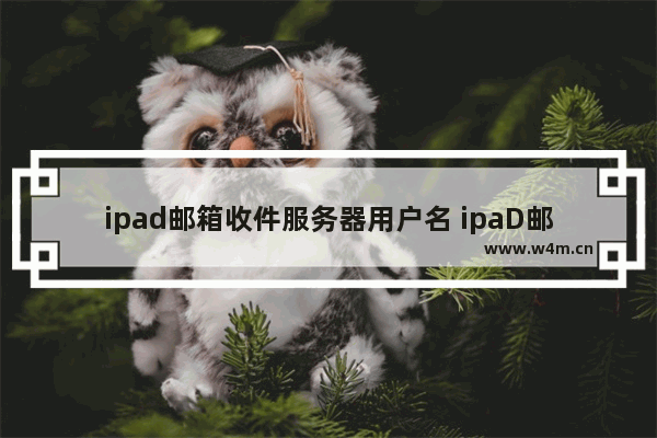 ipad邮箱收件服务器用户名 ipaD邮箱收件服务器用户名怎么填