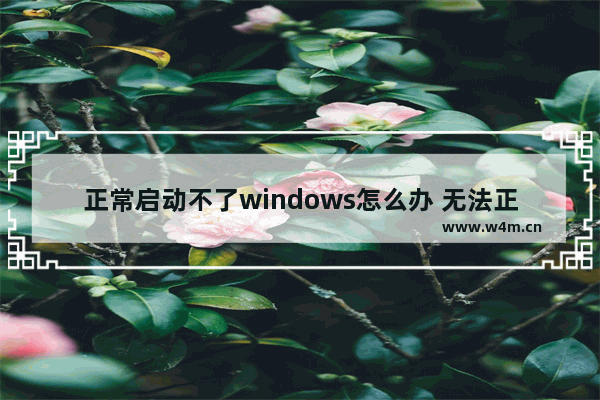 正常启动不了windows怎么办 无法正常启动Windows怎么办