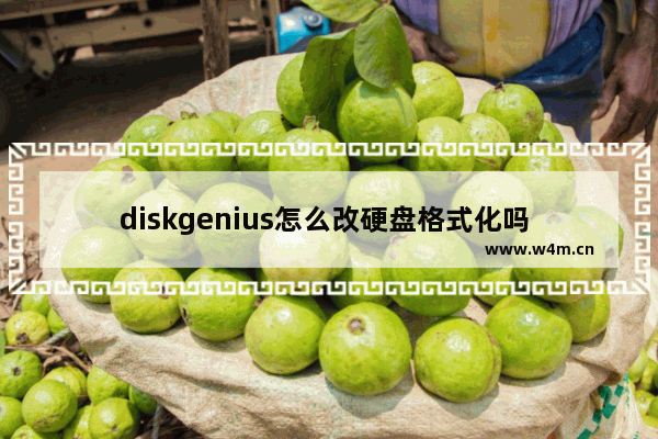 diskgenius怎么改硬盘格式化吗 如何使用DiskGenius修改硬盘格式？