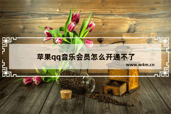 苹果qq音乐会员怎么开通不了