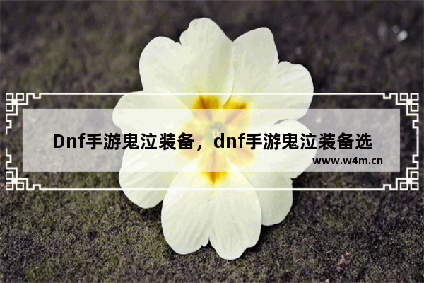 Dnf手游鬼泣装备，dnf手游鬼泣装备选择