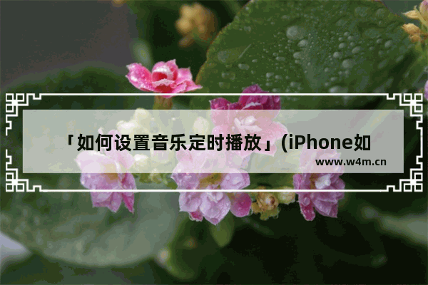 「如何设置音乐定时播放」(iPhone如何设置音乐定时播放)