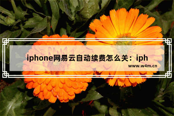 iphone网易云自动续费怎么关：iphone网易云自动续费怎么关闭