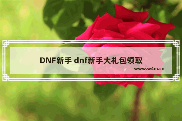 DNF新手 dnf新手大礼包领取