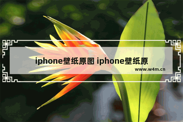 iphone壁纸原图 iphone壁纸原图下载