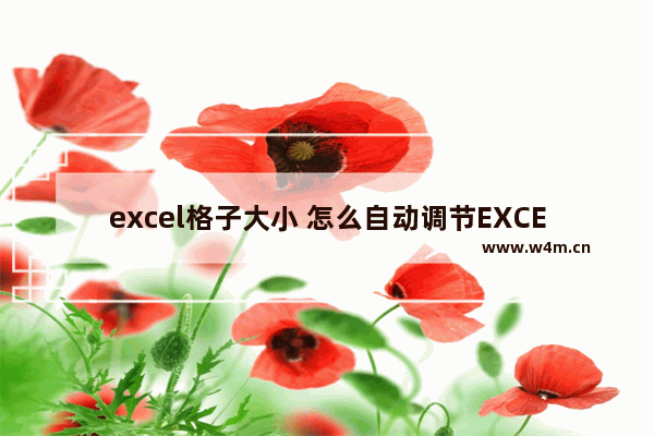 excel格子大小 怎么自动调节EXCEL格子大小