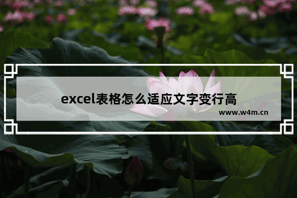 excel表格怎么适应文字变行高