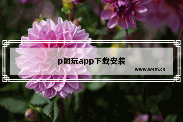 p图玩app下载安装