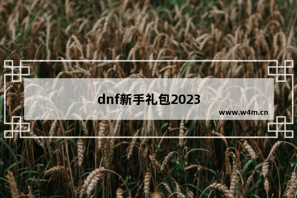 dnf新手礼包2023