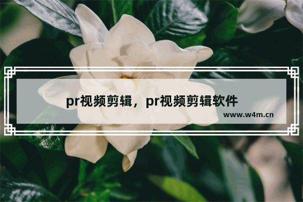 pr视频剪辑，pr视频剪辑软件