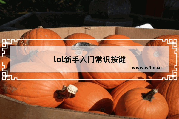 lol新手入门常识按键