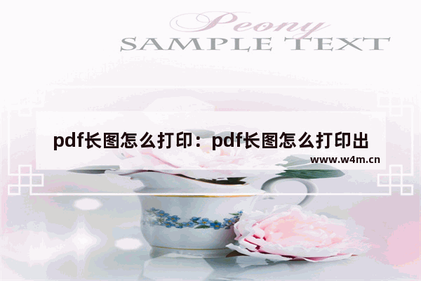 pdf长图怎么打印：pdf长图怎么打印出来