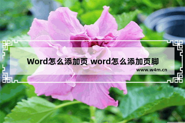 Word怎么添加页 word怎么添加页脚自动生成页码