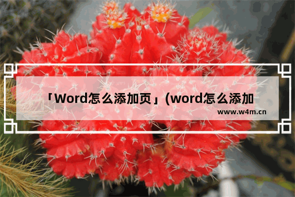 「Word怎么添加页」(word怎么添加页眉页脚横线)