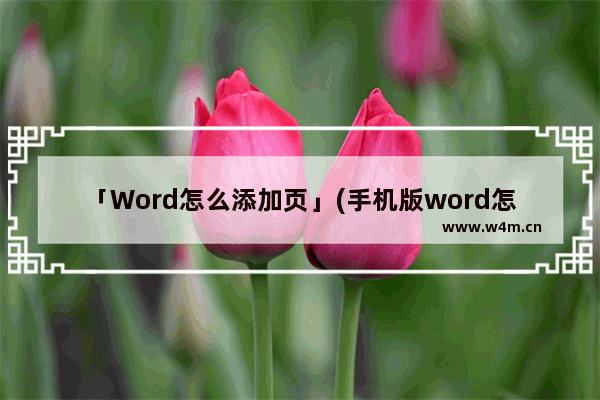 「Word怎么添加页」(手机版word怎么添加页)