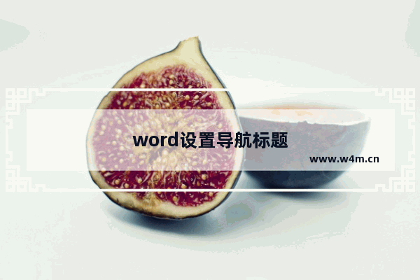 word设置导航标题