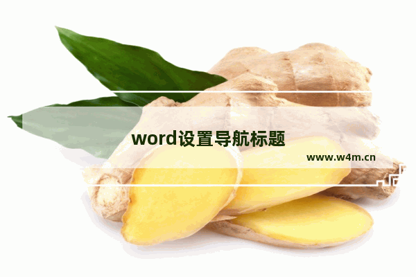 word设置导航标题