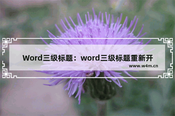 Word三级标题：word三级标题重新开始