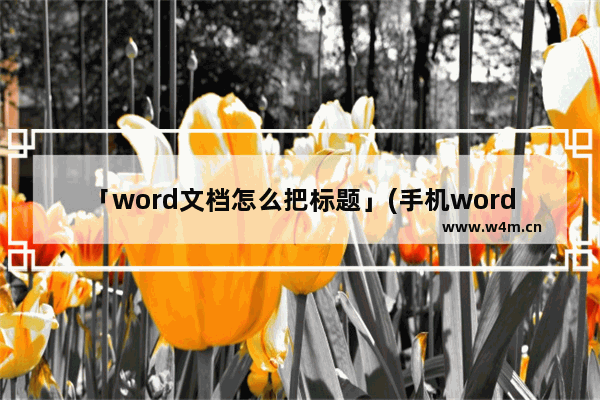 「word文档怎么把标题」(手机word文档怎么把标题居中)